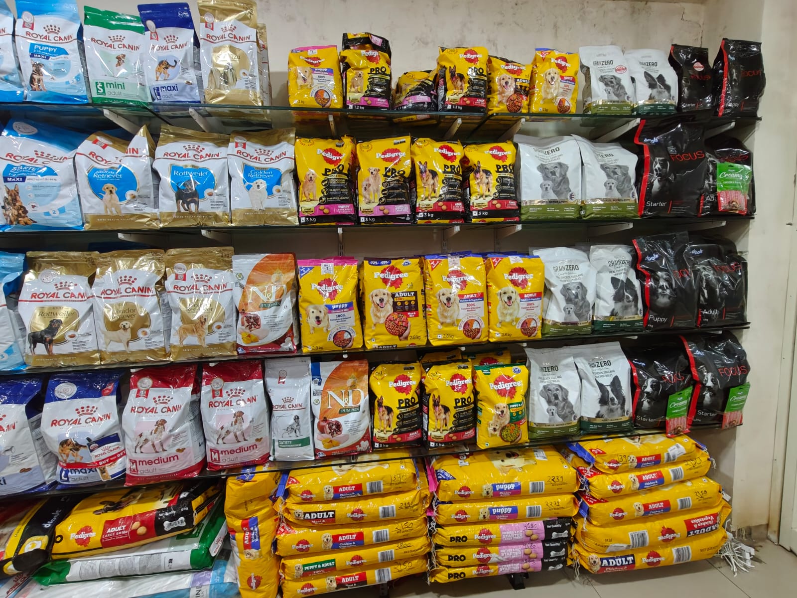 Sarvadnya Pet Care Unit veterinary clinic, Pune